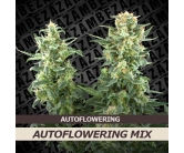 Autoflowering mix
