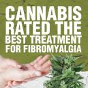 Cannabis: la migliore medicina per trattare la fibromialgia