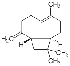 Cariofillene