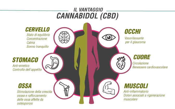 I Benefici di CBD