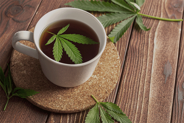 Cannabis stems to make some tea