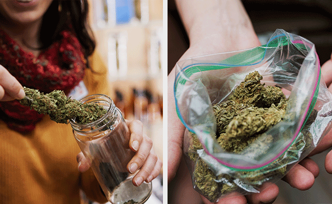 Scopri Come Conservare La Cannabis In Modo Che Duri A Lungo