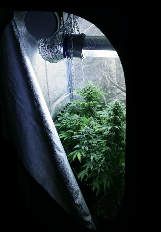 Grow room