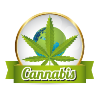 Un mondo migliore con la cannabis organica