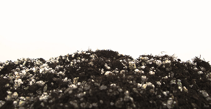 Vermicompost Fertilizzante Perlite