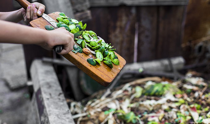 Cannabis e Compost Fatto in Casa: Come Farlo, Conservarlo ed Usarlo