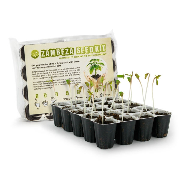 Zambeza Seedkit miglior cannabis kit germinazione dei semi